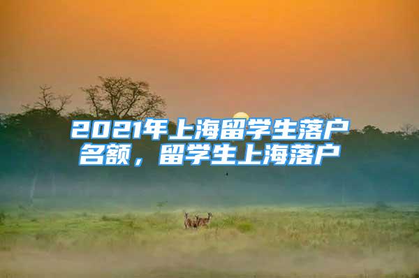 2021年上海留學(xué)生落戶名額，留學(xué)生上海落戶