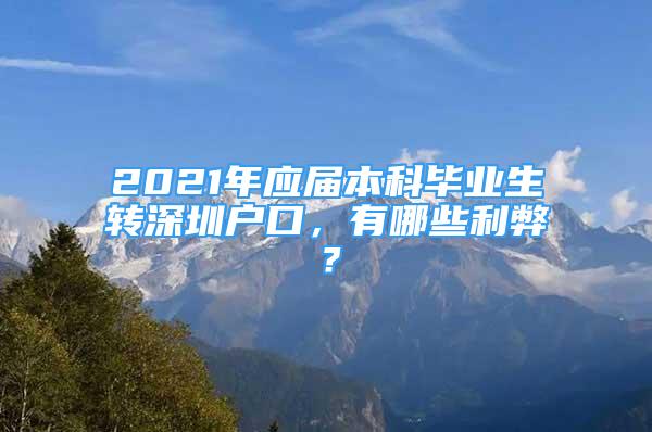 2021年應(yīng)屆本科畢業(yè)生轉(zhuǎn)深圳戶口，有哪些利弊？