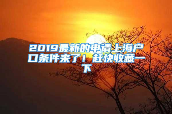 2019最新的申請(qǐng)上海戶口條件來(lái)了！趕快收藏一下