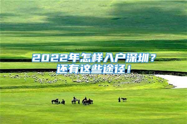 2022年怎樣入戶深圳？還有這些途徑！