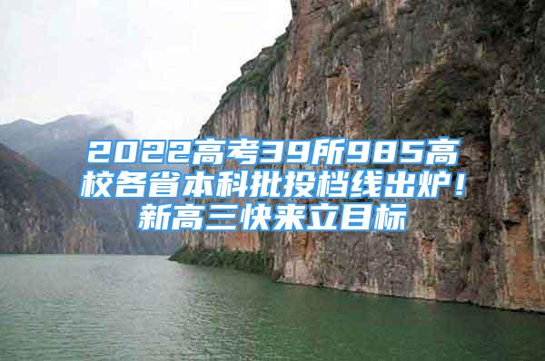 2022高考39所985高校各省本科批投檔線出爐！新高三快來立目標(biāo)