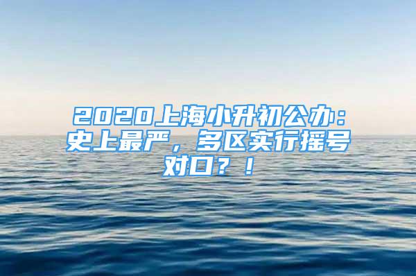 2020上海小升初公辦：史上最嚴，多區(qū)實行搖號對口？！