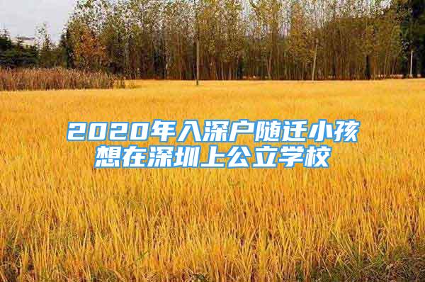 2020年入深戶隨遷小孩想在深圳上公立學(xué)校