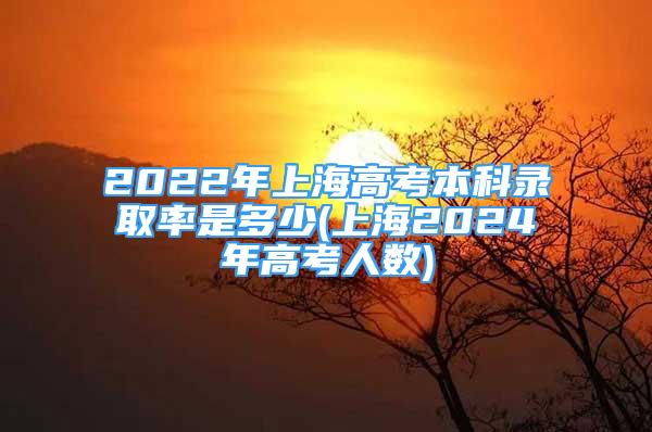 2022年上海高考本科錄取率是多少(上海2024年高考人數(shù))