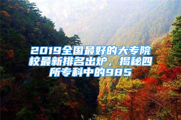 2019全國最好的大專院校最新排名出爐，揭秘四所?？浦械?85