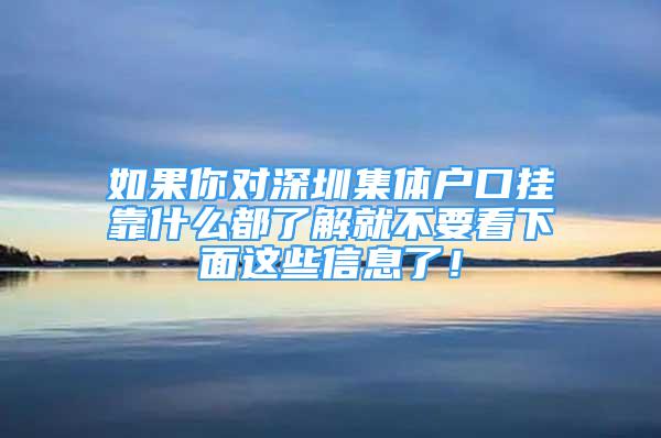 如果你對深圳集體戶口掛靠什么都了解就不要看下面這些信息了！