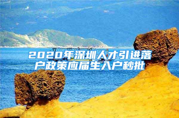 2020年深圳人才引進落戶政策應(yīng)屆生入戶秒批