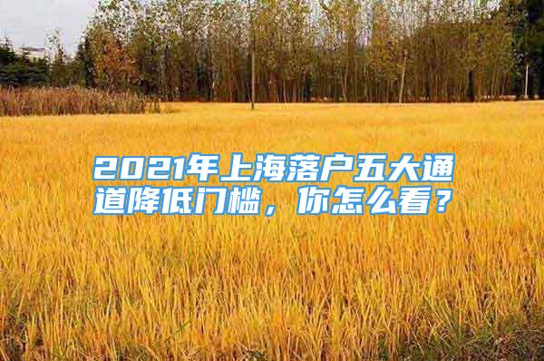 2021年上海落戶五大通道降低門檻，你怎么看？