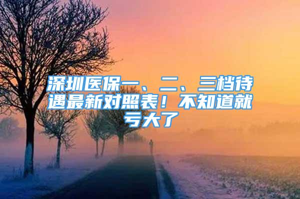 深圳醫(yī)保一、二、三檔待遇最新對照表！不知道就虧大了