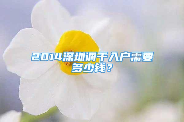 2014深圳調(diào)干入戶需要多少錢？