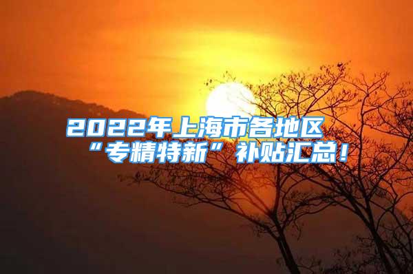 2022年上海市各地區(qū)“專精特新”補(bǔ)貼匯總！