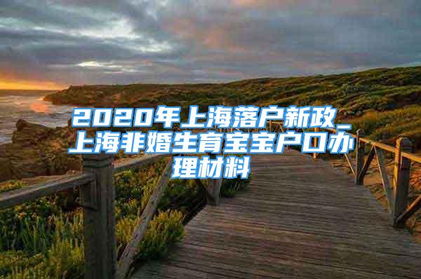 2020年上海落戶新政_上海非婚生育寶寶戶口辦理材料