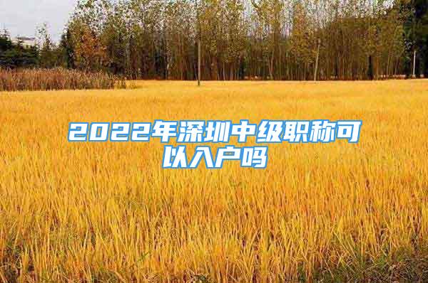 2022年深圳中級職稱可以入戶嗎