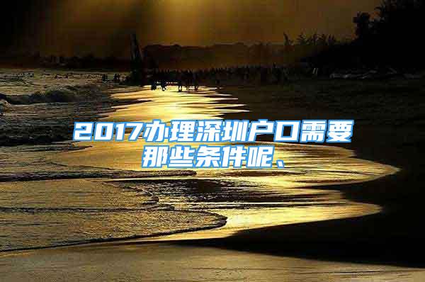 2017辦理深圳戶口需要那些條件呢、