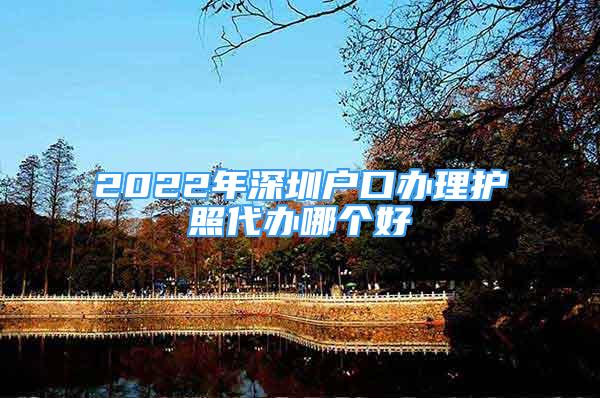 2022年深圳戶口辦理護(hù)照代辦哪個好