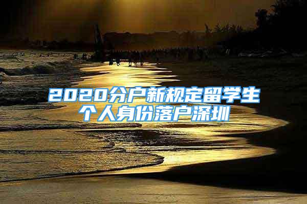 2020分戶新規(guī)定留學(xué)生個人身份落戶深圳