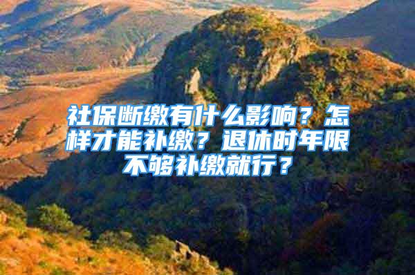 社保斷繳有什么影響？怎樣才能補繳？退休時年限不夠補繳就行？