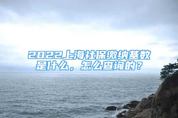 2022上海社保繳納基數(shù)是什么，怎么查詢的？