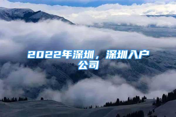 2022年深圳，深圳入戶公司