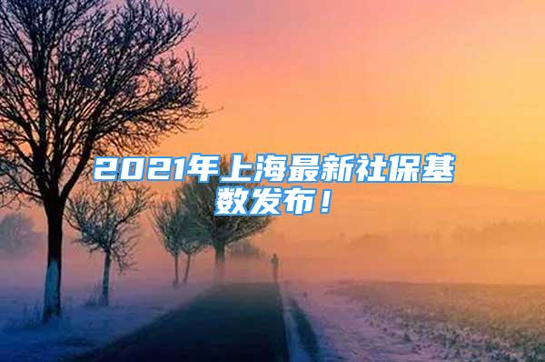 2021年上海最新社?；鶖?shù)發(fā)布！