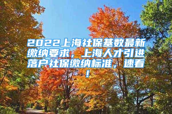 2022上海社保基數(shù)最新繳納要求，上海人才引進落戶社保繳納標準，速看！