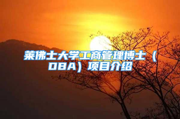 萊佛士大學(xué)工商管理博士（DBA）項目介紹