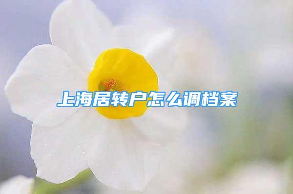 上海居轉(zhuǎn)戶怎么調(diào)檔案