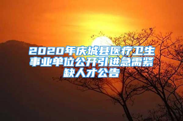 2020年慶城縣醫(yī)療衛(wèi)生事業(yè)單位公開引進(jìn)急需緊缺人才公告