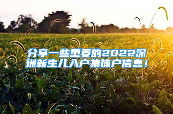 分享一些重要的2022深圳新生兒入戶集體戶信息！