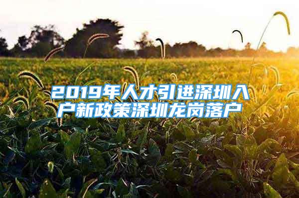 2019年人才引進深圳入戶新政策深圳龍崗落戶