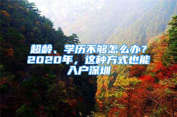 超齡、學歷不夠怎么辦？2020年，這種方式也能入戶深圳