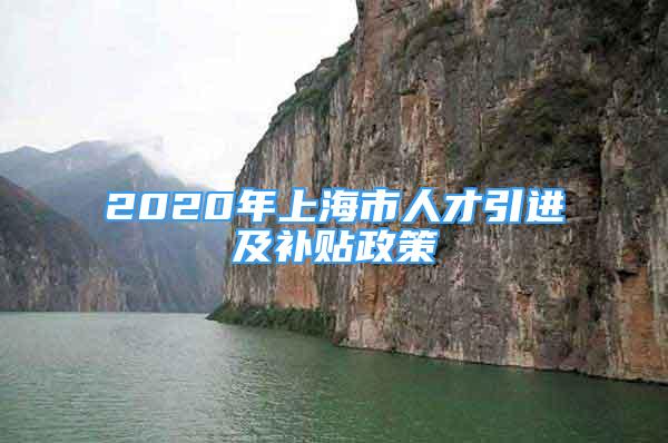 2020年上海市人才引進(jìn)及補(bǔ)貼政策