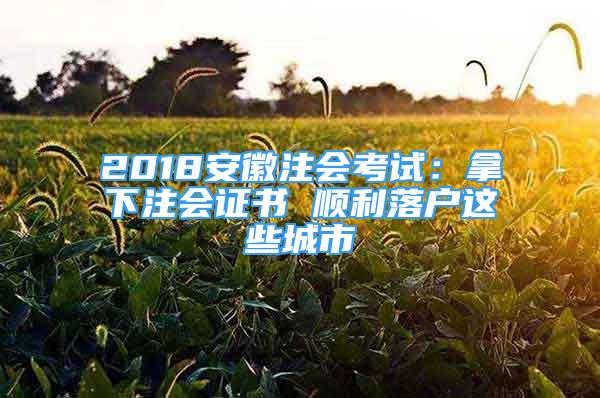 2018安徽注會考試：拿下注會證書 順利落戶這些城市