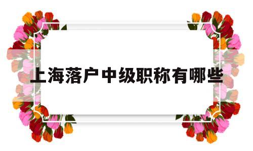 上海落戶中級職稱有哪些(上海落戶中級職稱有哪些研究生算嗎) 深圳積分入戶政策