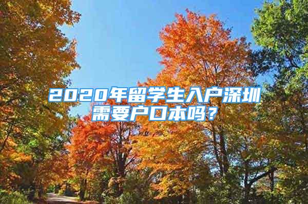 2020年留學(xué)生入戶深圳需要戶口本嗎？