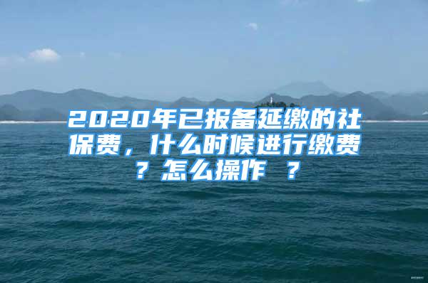 2020年已報備延繳的社保費，什么時候進行繳費？怎么操作 ？