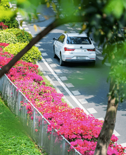 2021年深圳市新引進人才租房和生活補貼受理條件 2021年深圳市新引進人才租房和生活補貼受理條件