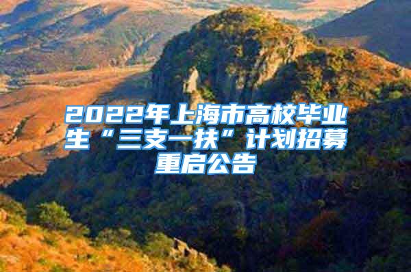 2022年上海市高校畢業(yè)生“三支一扶”計劃招募重啟公告