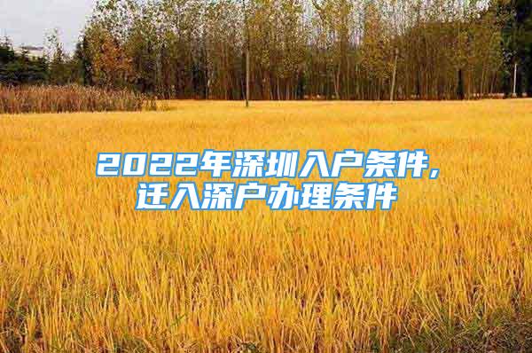 2022年深圳入戶條件,遷入深戶辦理?xiàng)l件