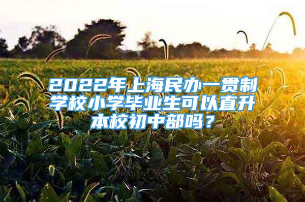 2022年上海民辦一貫制學(xué)校小學(xué)畢業(yè)生可以直升本校初中部嗎？