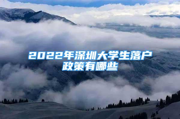 2022年深圳大學(xué)生落戶政策有哪些