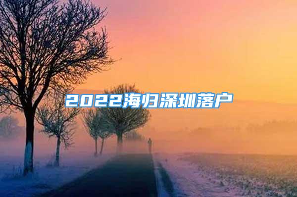 2022海歸深圳落戶