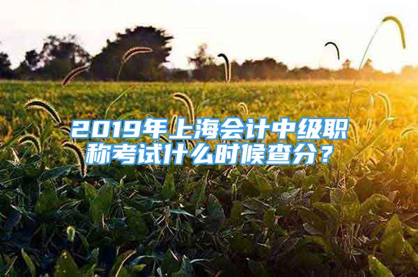 2019年上海會計中級職稱考試什么時候查分？