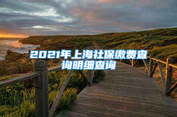 2021年上海社保繳費(fèi)查詢明細(xì)查詢