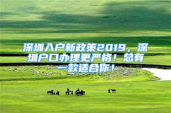 深圳入戶新政策2019，深圳戶口辦理更嚴(yán)格！總有一款適合你！