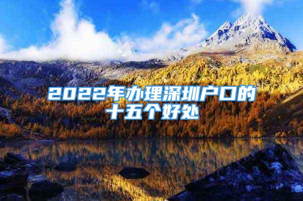 2022年辦理深圳戶口的十五個(gè)好處