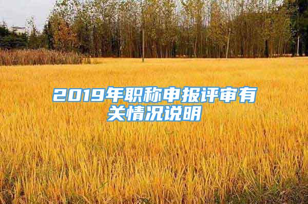 2019年職稱申報評審有關情況說明