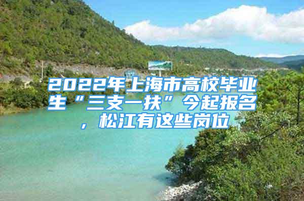 2022年上海市高校畢業(yè)生“三支一扶”今起報名，松江有這些崗位