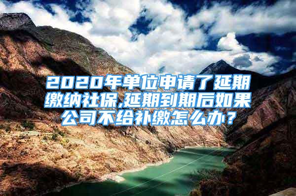 2020年單位申請(qǐng)了延期繳納社保,延期到期后如果公司不給補(bǔ)繳怎么辦？