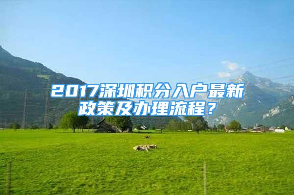 2017深圳積分入戶最新政策及辦理流程？